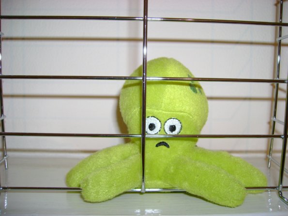 028 - Pupuce en prison ...