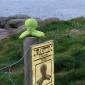039 - Pupuce nargue les autorits ...
