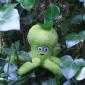 043 - Pupuce dans la jungle, 2me prise