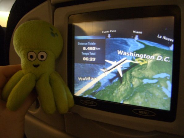 071 - Pupuce fait vraiment sa crneuse dans l'avion