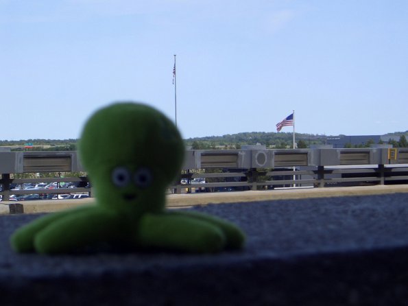 072 - Pupuce  Washington