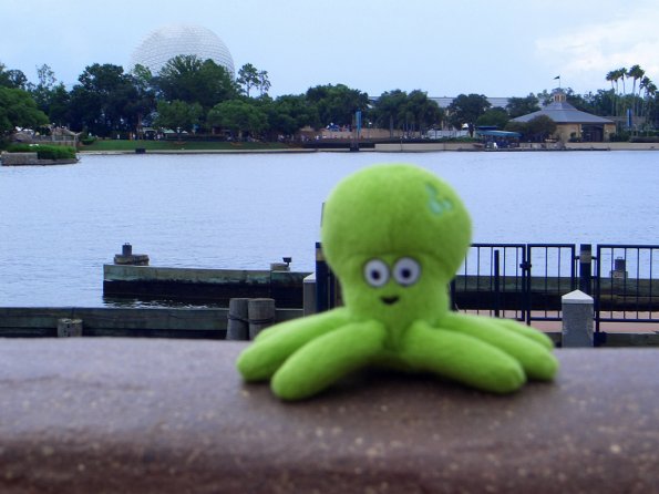 080 - Pupuce prend la pose  Epcot