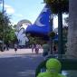 088 - Pupuce devant le symbole des MGM Studios