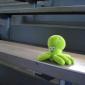 113 - Pupuce attend ...
