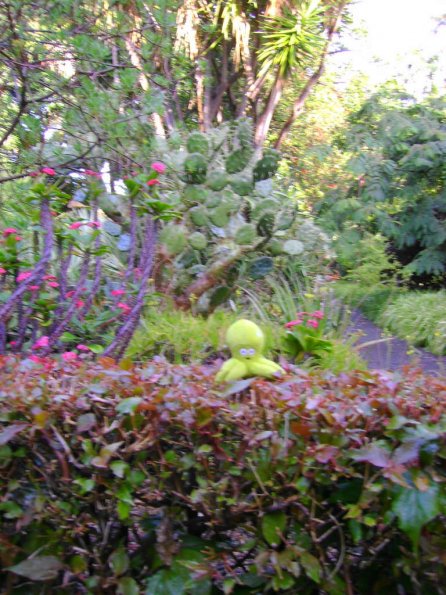 140 - Pupuce au jardin botanique 